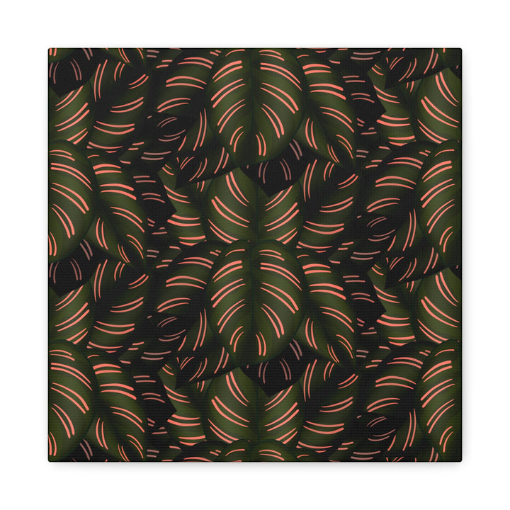 Calathea Pinstripe Canvas Print With Matte Finish Stretched Botanical Wall Art For Living Room Decor