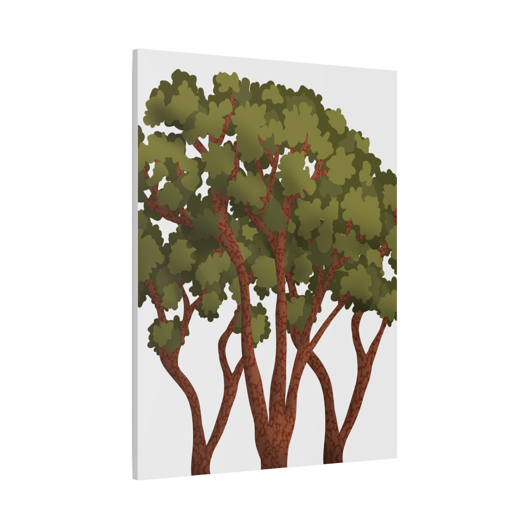 Pacific Madrone Canvas Print – Wall Art
