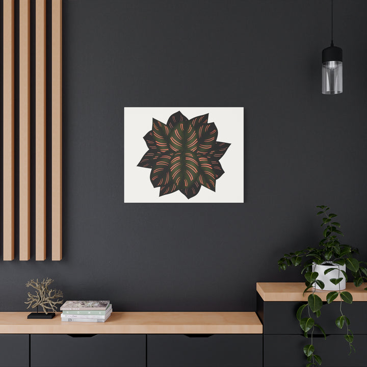Calathea Pinstripe Canvas Botanical Wall Art Print On Stretched Cotton Canvas For Living Room Decor