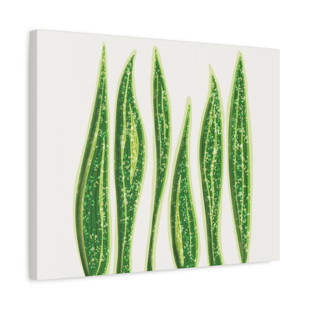 Snake Plant Canvas Print Matte 1.25 Inch Stretch Canvas Wall Art For Living Room Decor
