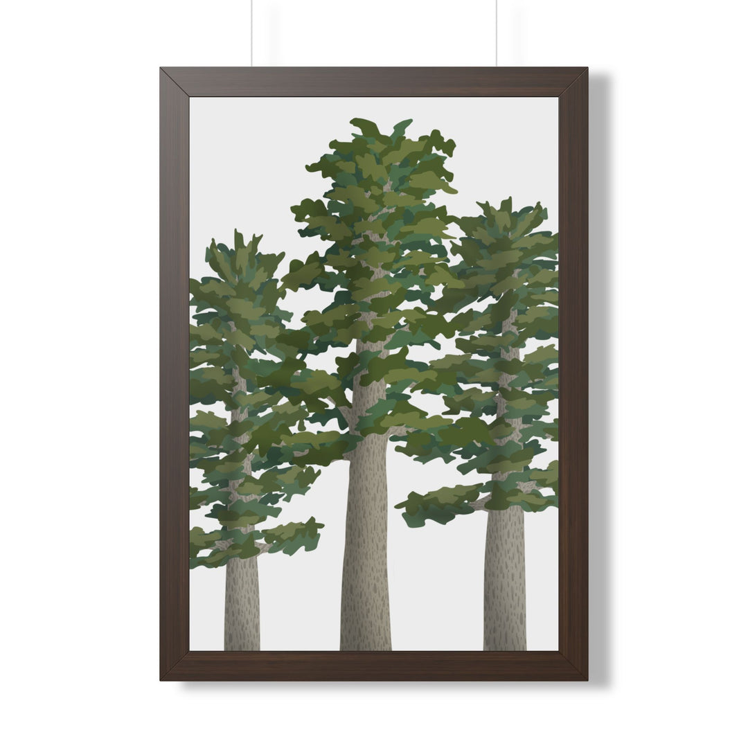 Sitka Spruce Framed Print – Wall Art