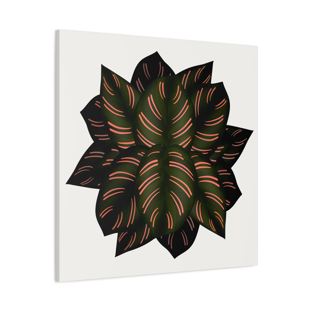 Calathea Pinstripe Canvas Botanical Wall Art Print On Stretched Cotton Canvas For Living Room Decor