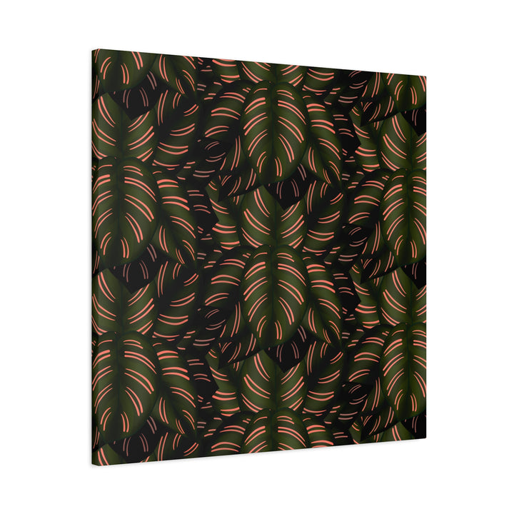 Calathea Pinstripe Canvas Print With Matte Finish Stretched Botanical Wall Art For Living Room Decor