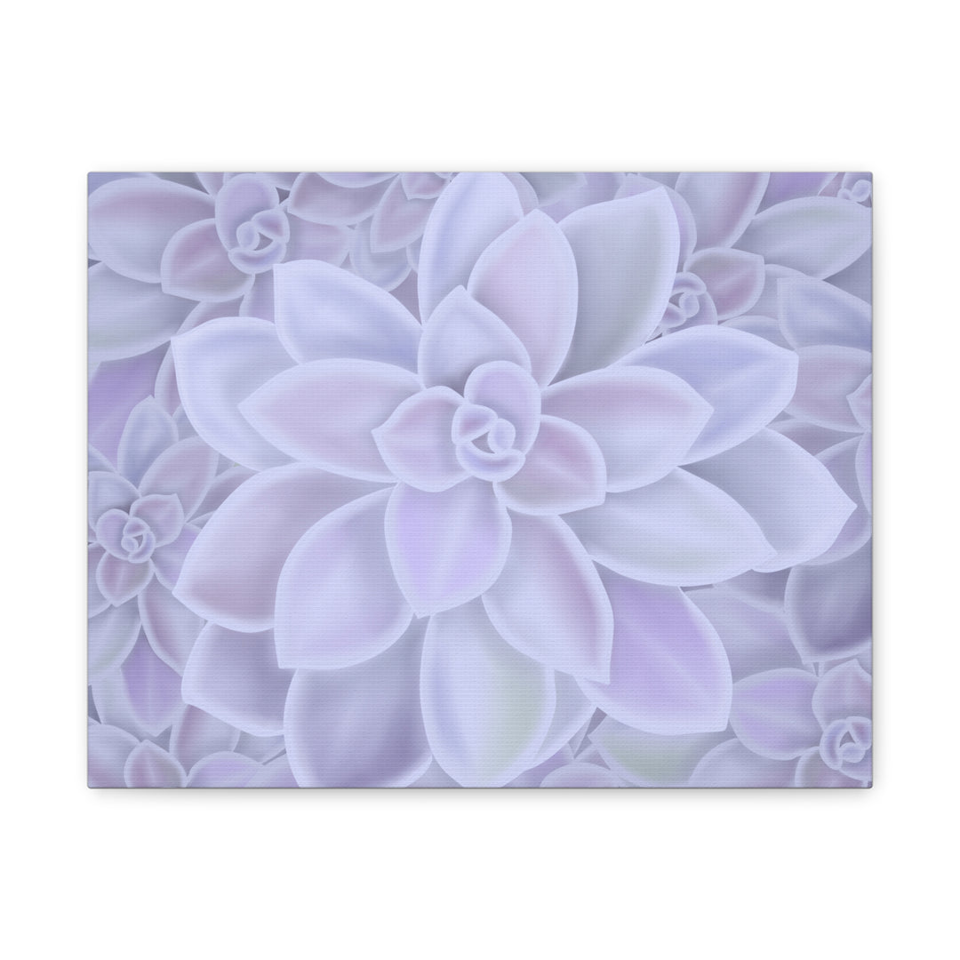 Graptopetalum Murasaki Succulent Canvas Art Print Pastel Purple Rosette Indoor Plant Decor
