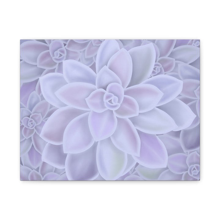 Graptopetalum Murasaki Succulent Canvas Art Print Pastel Purple Rosette Indoor Plant Decor