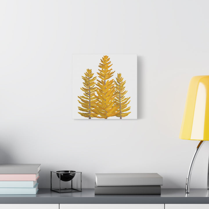 Western Larch Canvas Print – Wall Art