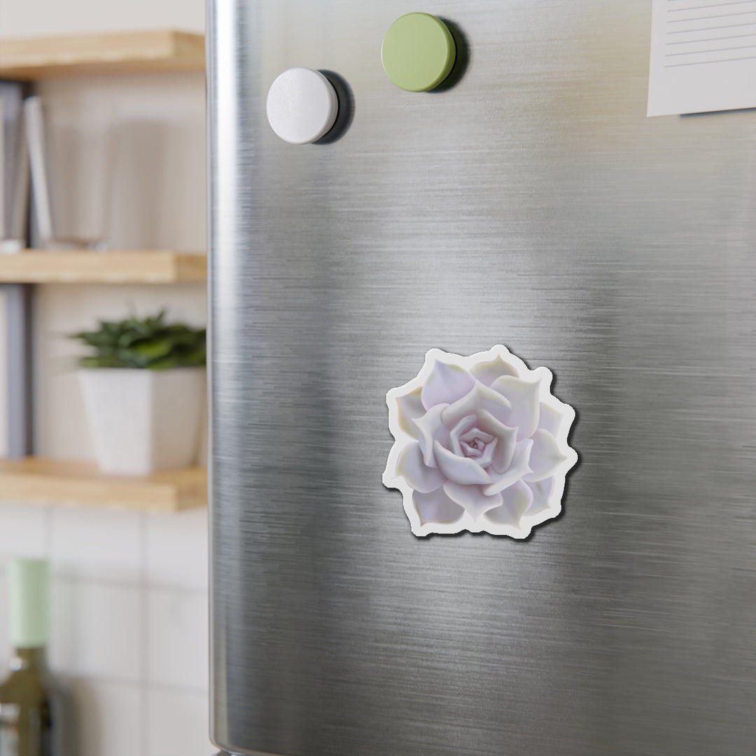 Echeveria Lilacina Succulent Magnet