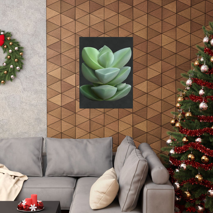 Crassula Botanical Print – Unframed Wall Art