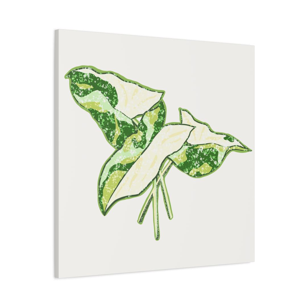 Marble Syngonium Canvas Botanical Wall Art Stretched Print On Durable Cotton Canvas Matte Finish