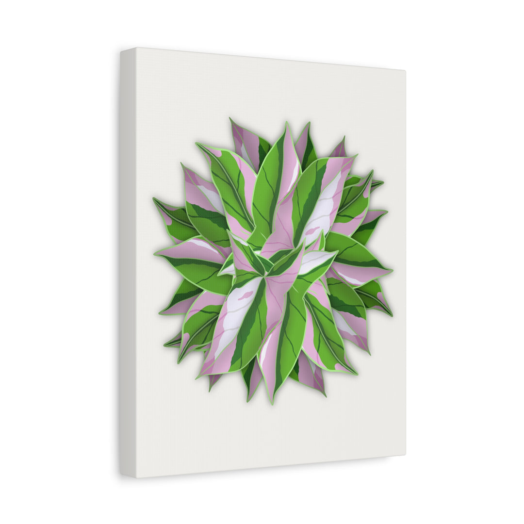Syngonium Tricolor Canvas Print – Botanical Wall Art - The Potted Pixel