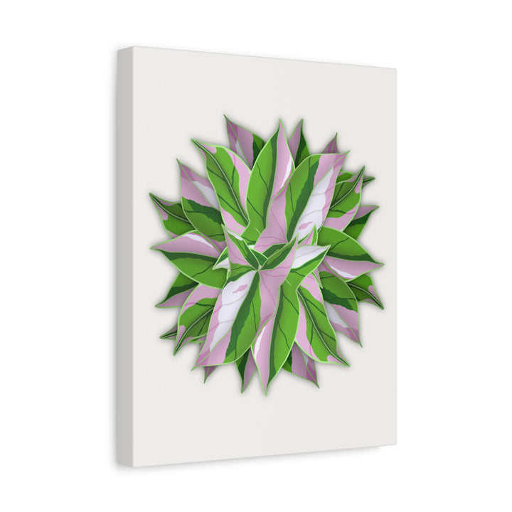 Syngonium Tricolor Canvas Print – Botanical Wall Art - The Potted Pixel
