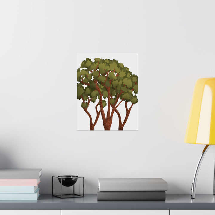 Pacific Madrone Print – Unframed Wall Art