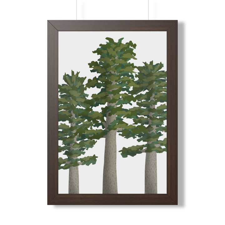 Sitka Spruce Framed Print – Wall Art