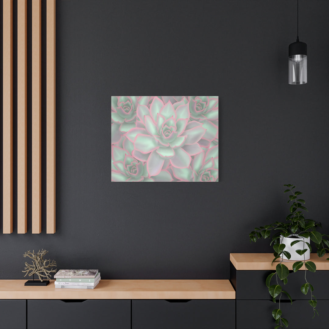 Echeveria Violet Queen Canvas Wall Art Succulent Print Matte Botanical Decor For Indoor Spaces