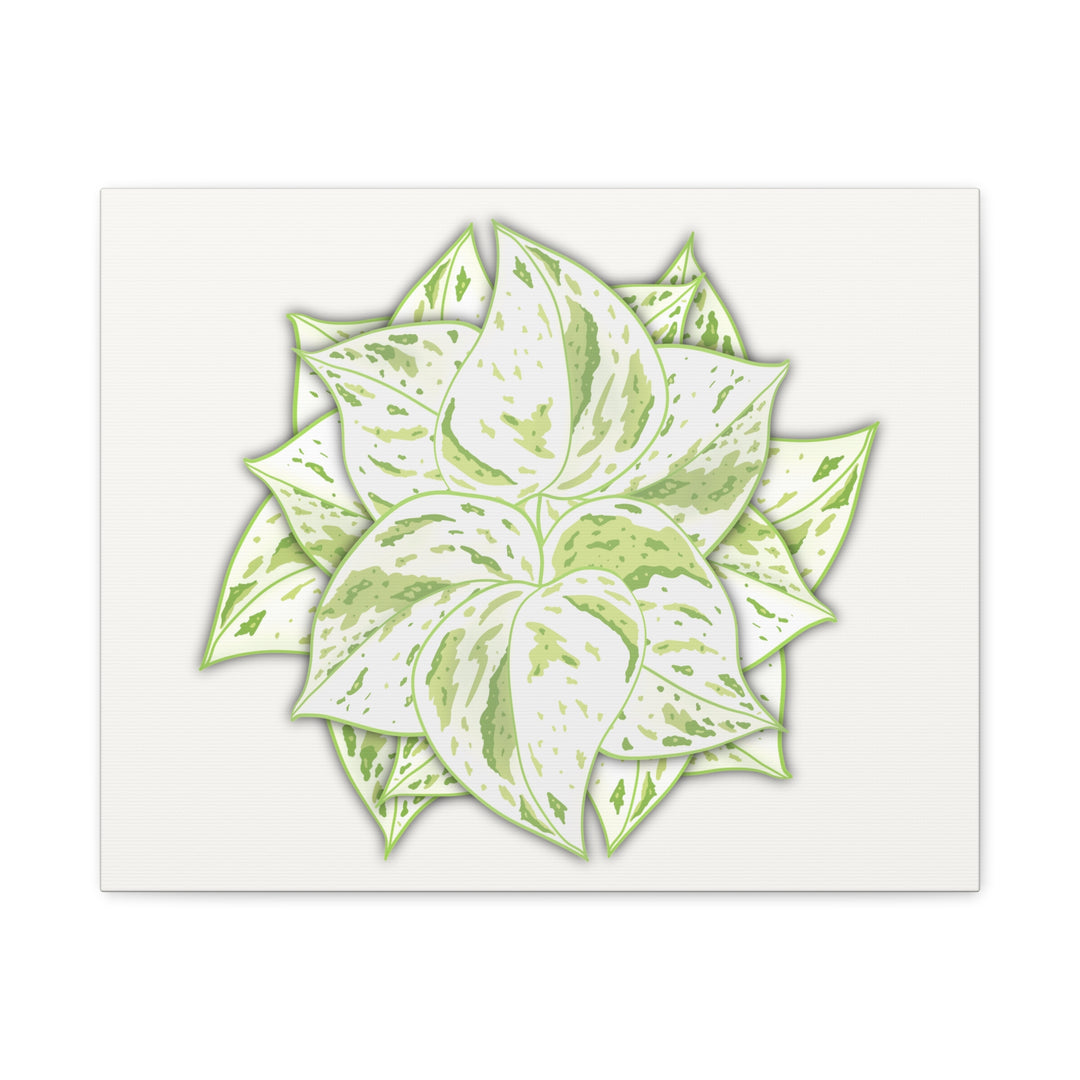 Snow Queen Pothos Canvas Wall Art Variegated Indoor Plant Leaf Poster Print Cotton Canvas