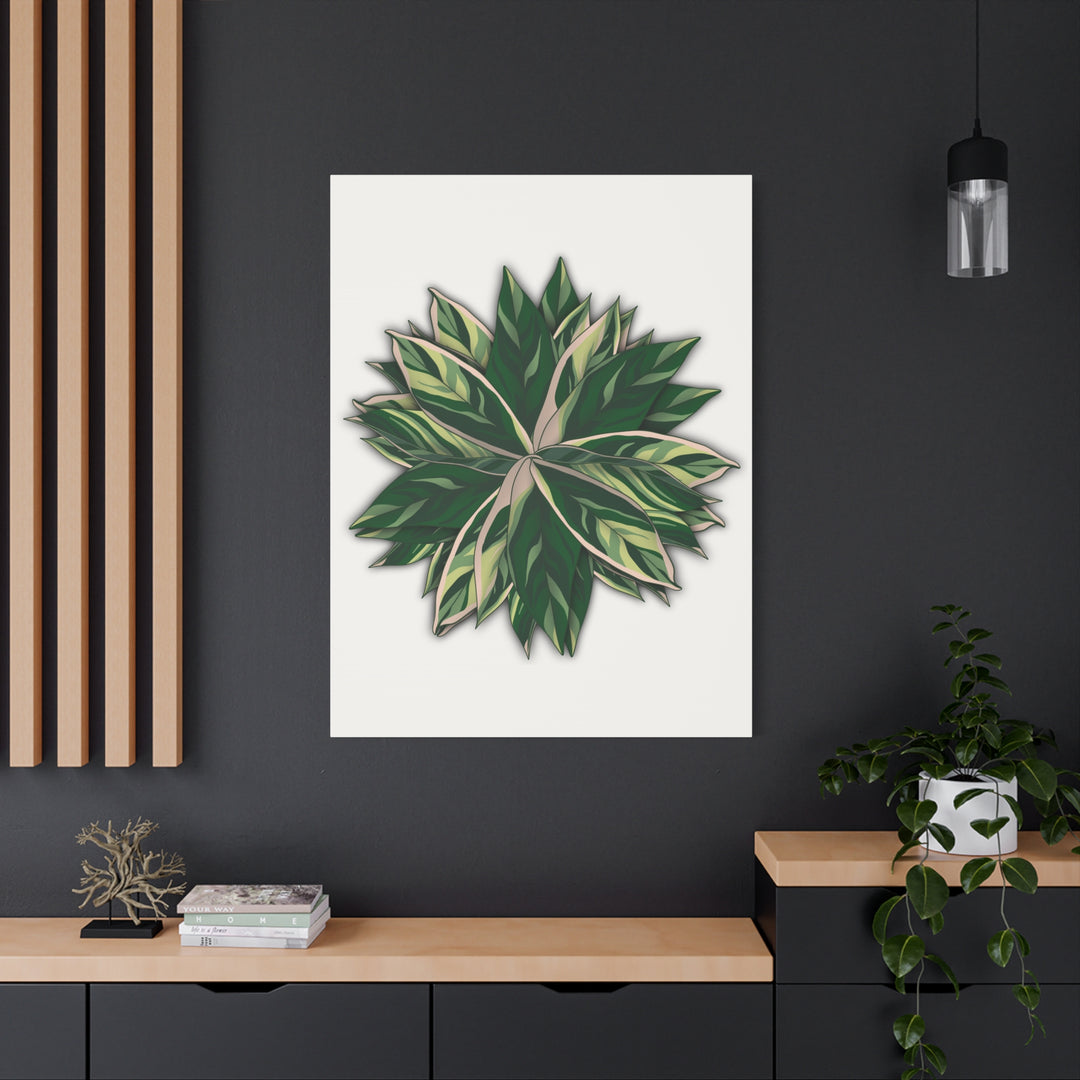 Stromanthe Triostar Canvas Wall Art Premium Matte Finish On Durable 1.25 Inch Frame For Vibrant Indoor Tropical Decor