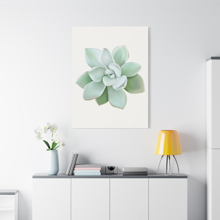Succulent Canvas Art Pachyveria Haagei Print On Matte Finish Canvas Botanical Wall Decor