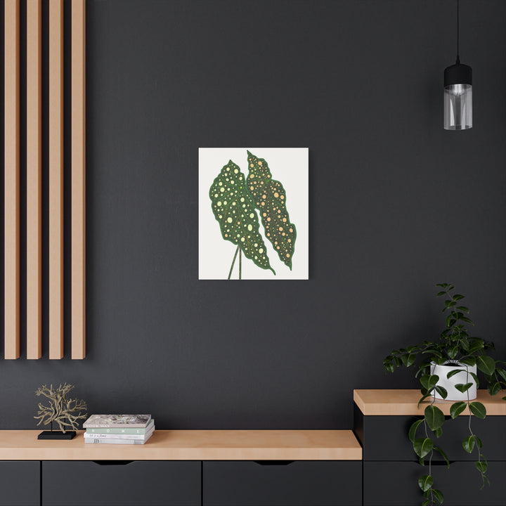Begonia Maculata Canvas Premium Botanical Wall Art Print On Cotton Canvas With Matte Finish For Indoor Decor