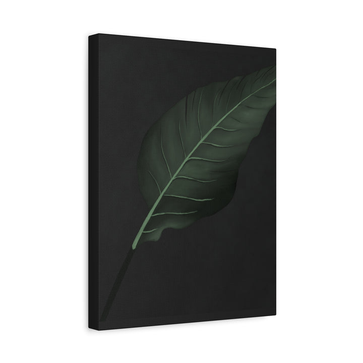 Bird of Paradise Canvas Print – Botanical Wall Art