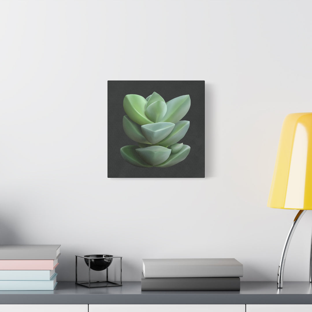 Crassula Canvas Print – Botanical Wall Art