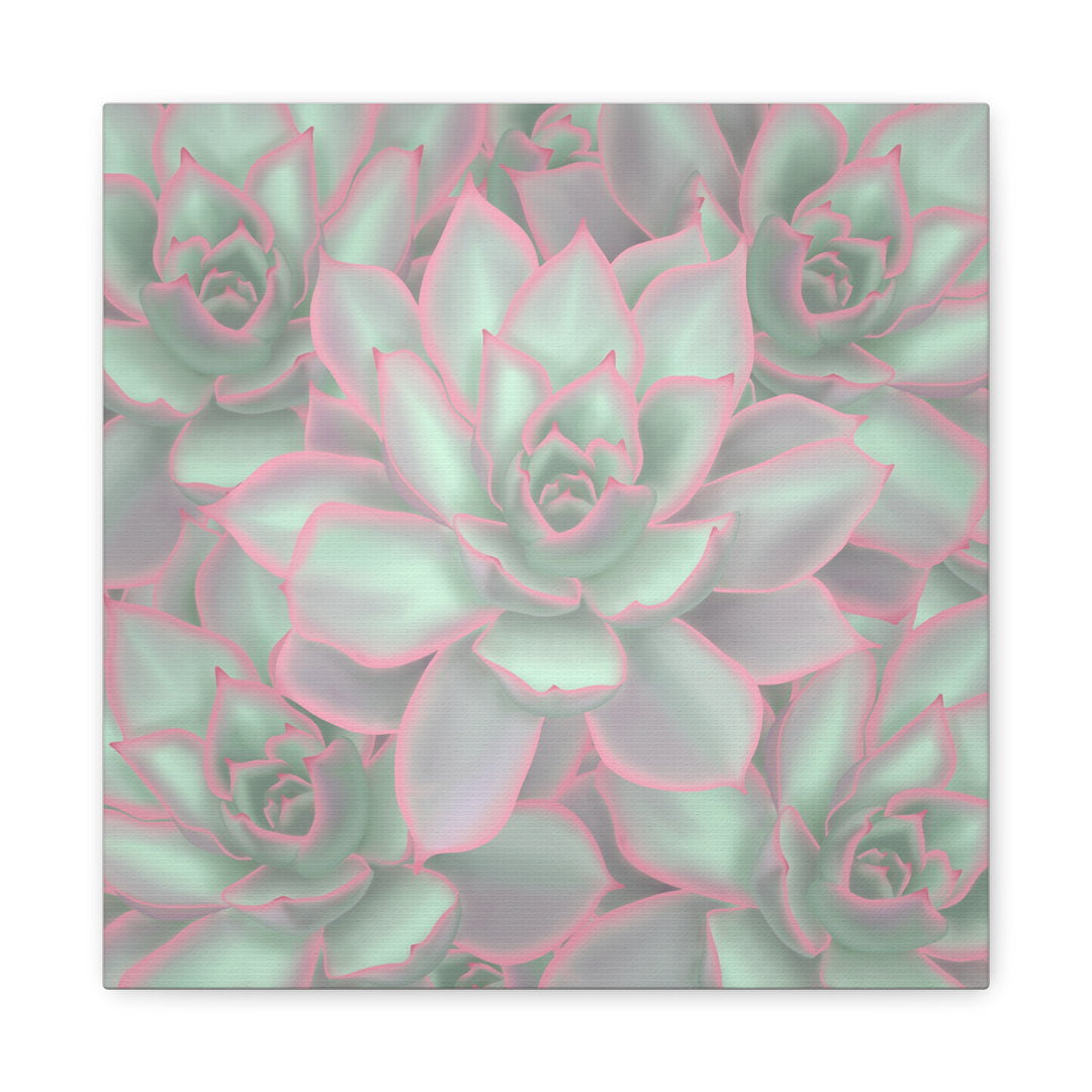 Echeveria Violet Queen Canvas Wall Art Succulent Print Matte Botanical Decor For Indoor Spaces