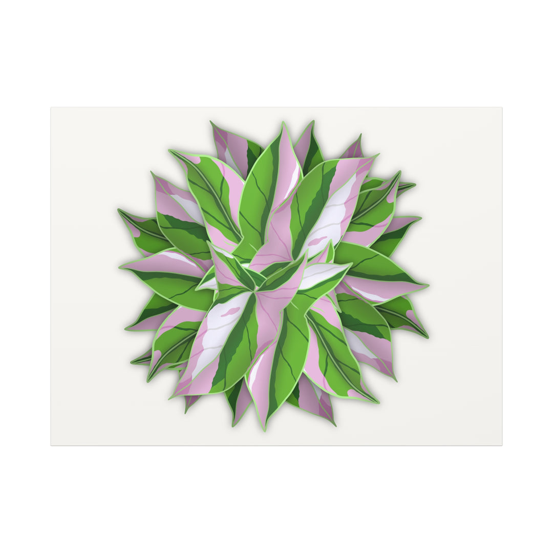 Syngonium Tricolor Canvas Print – Botanical Wall Art - The Potted Pixel
