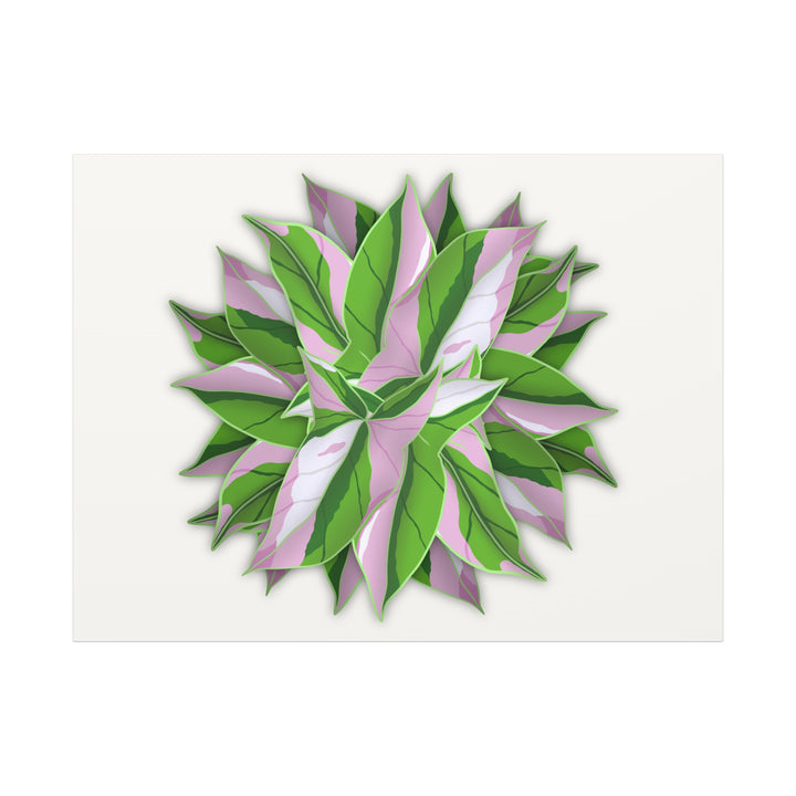Syngonium Tricolor Canvas Print – Botanical Wall Art - The Potted Pixel