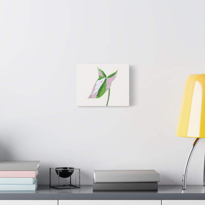 Syngonium Tricolor Canvas Print – Botanical Wall Art - The Potted Pixel