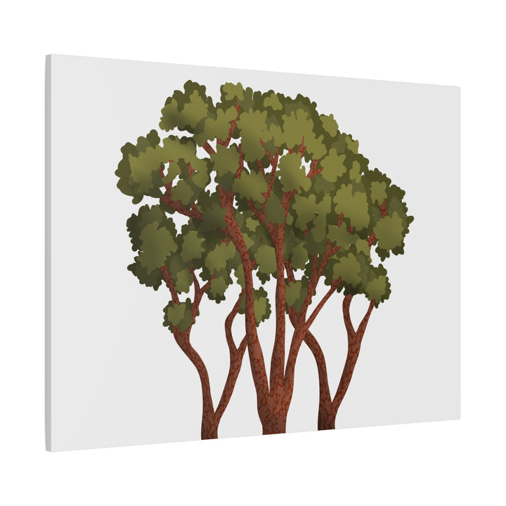 Pacific Madrone Canvas Print – Wall Art