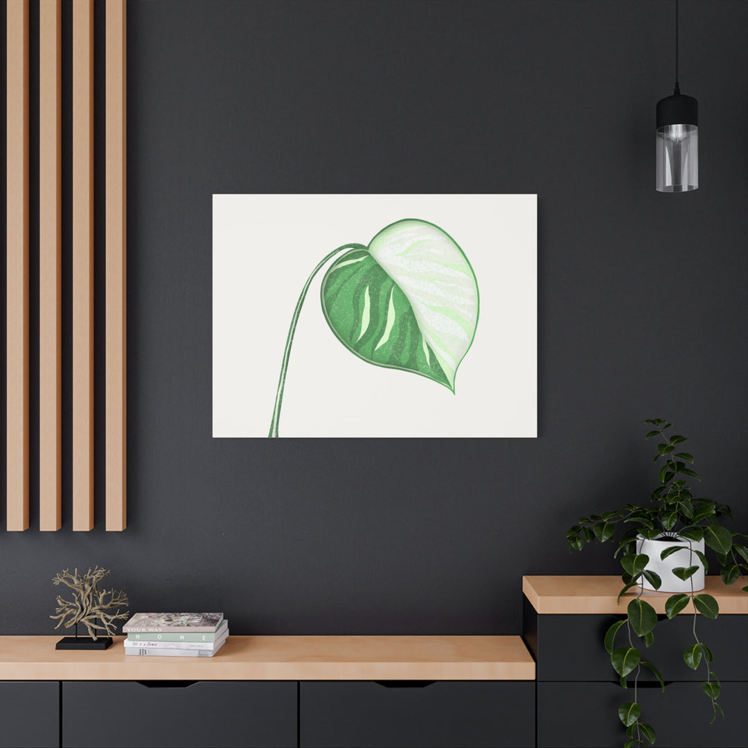 Monstera Albo Canvas Large Stretched Premium Quality Cotton Canvas Wall Art Tropical Leaf Poster Decor