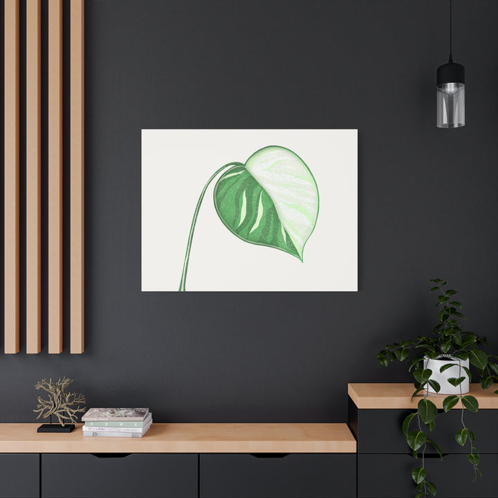 Monstera Albo Canvas Large Stretched Premium Quality Cotton Canvas Wall Art Tropical Leaf Poster Decor