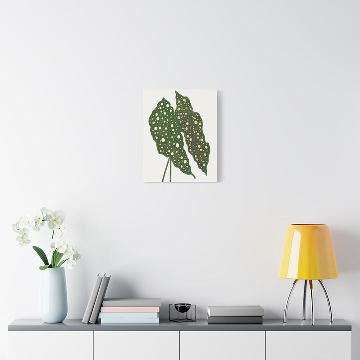 Begonia Maculata Canvas Premium Botanical Wall Art Print On Cotton Canvas With Matte Finish For Indoor Decor