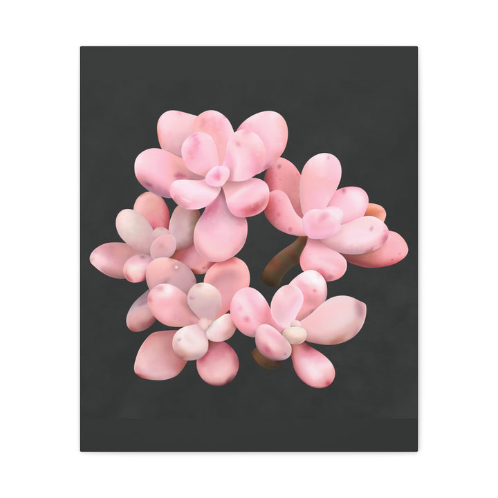 Pink Moonstone Canvas Print – Botanical Wall Art