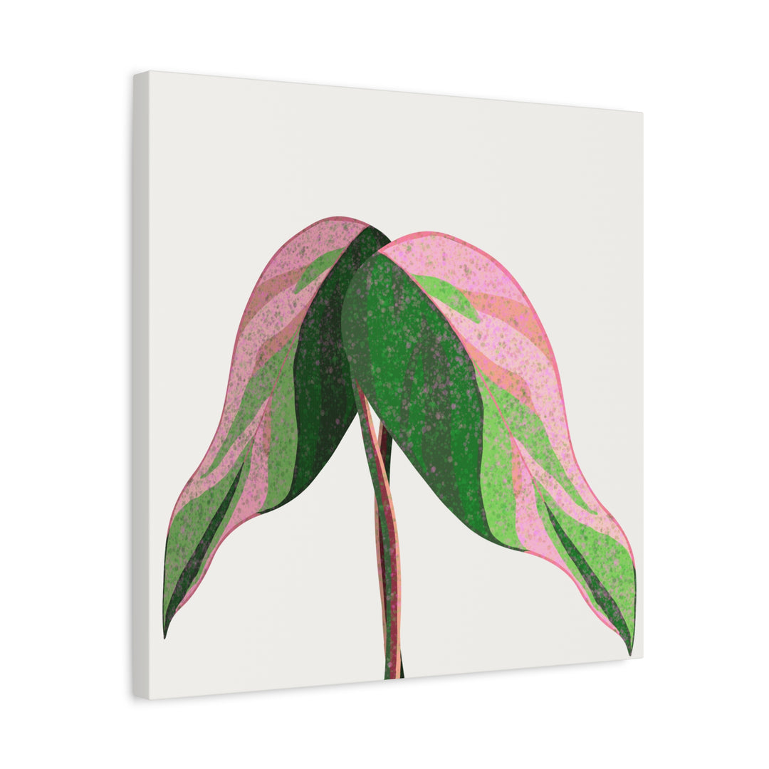 Pink Princess Philodendron Canvas Print Botanical Wall Art For Indoor Decor Modern Living Room Poster