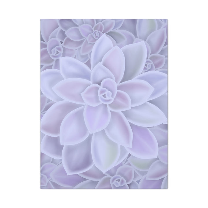 Graptopetalum Murasaki Succulent Canvas Art Print Pastel Purple Rosette Indoor Plant Decor