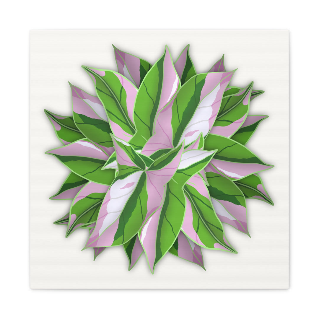 Syngonium Tricolor Canvas Print – Botanical Wall Art - The Potted Pixel