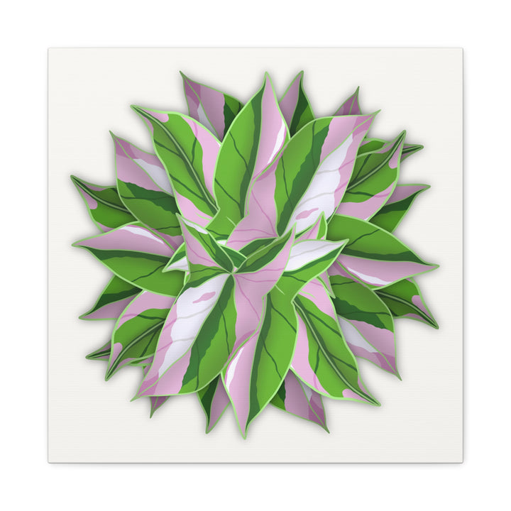 Syngonium Tricolor Canvas Print – Botanical Wall Art - The Potted Pixel