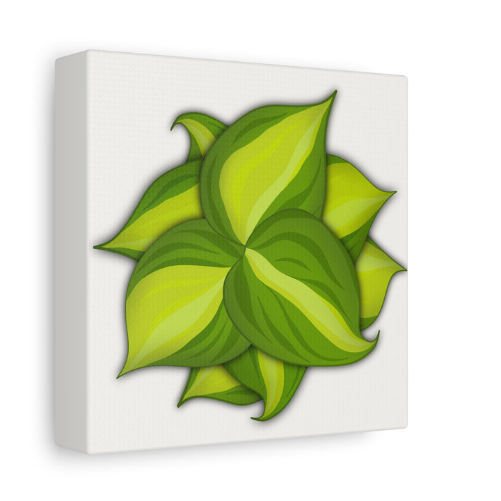 Philodendron Brasil Canvas Print Matte Stretched Canvas Indoor Plant Art For Modern Greenery Decor