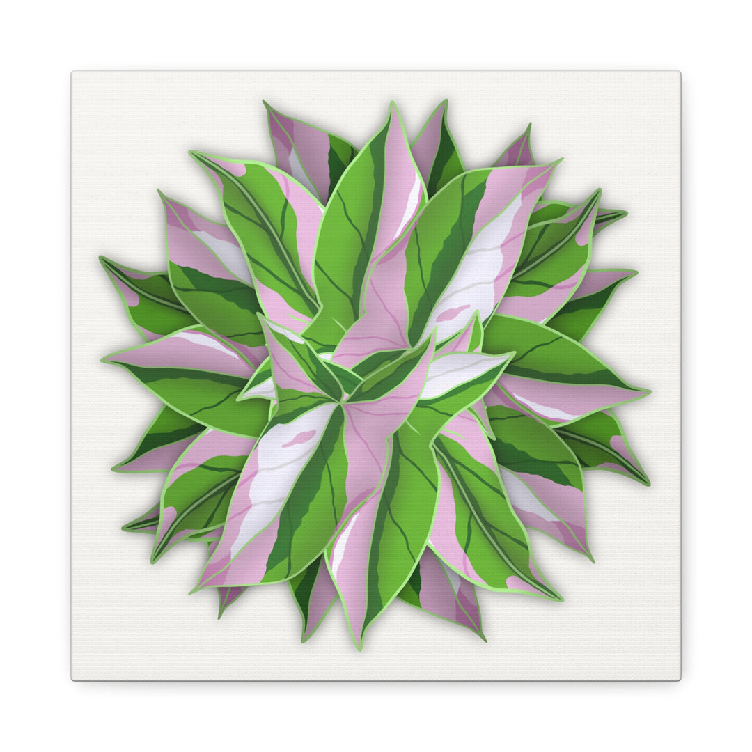 Syngonium Tricolor Canvas Print – Botanical Wall Art - The Potted Pixel