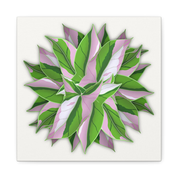 Syngonium Tricolor Canvas Print – Botanical Wall Art - The Potted Pixel