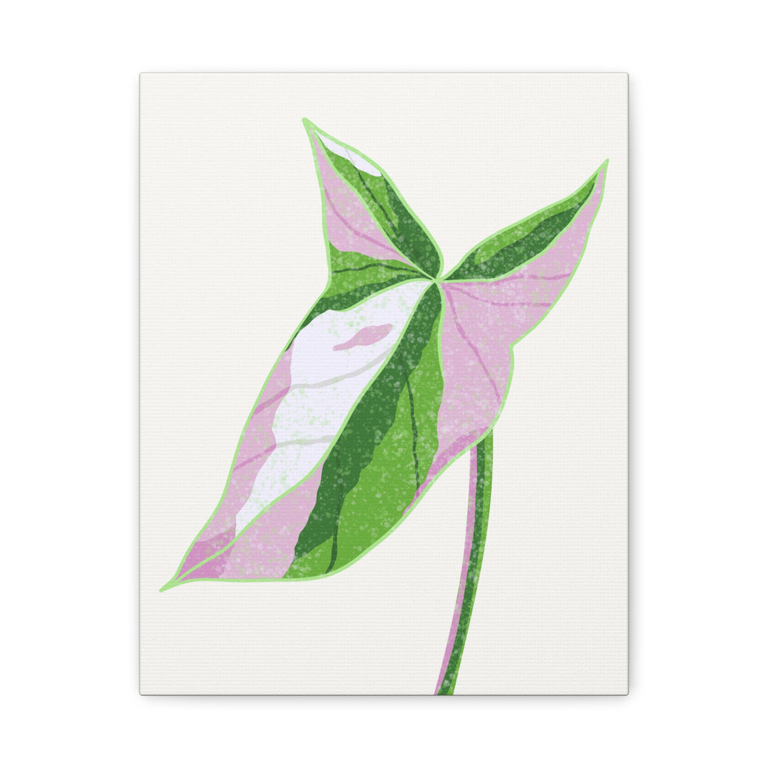 Syngonium Tricolor Canvas Print – Botanical Wall Art - The Potted Pixel