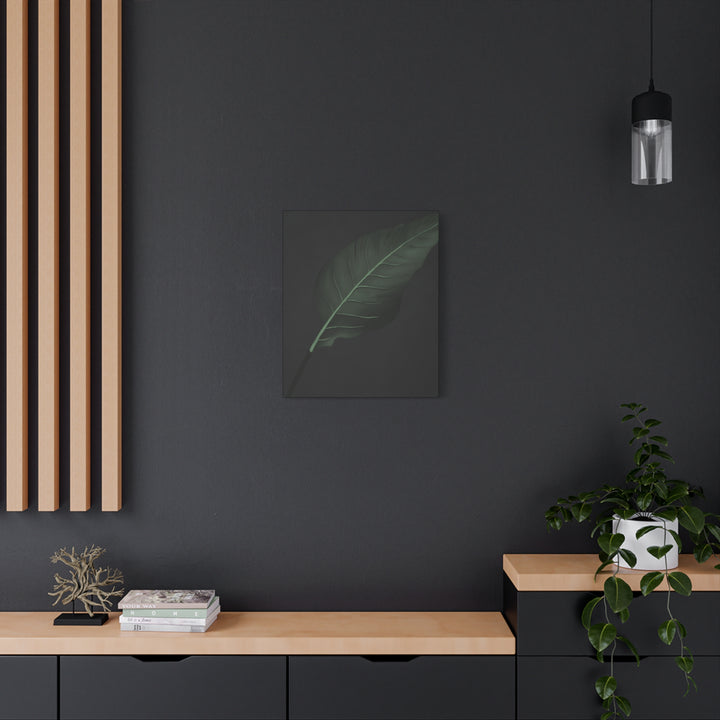 Bird of Paradise Canvas Print – Botanical Wall Art