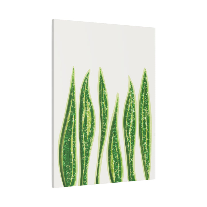 Snake Plant Canvas Print Matte 1.25 Inch Stretch Canvas Wall Art For Living Room Decor