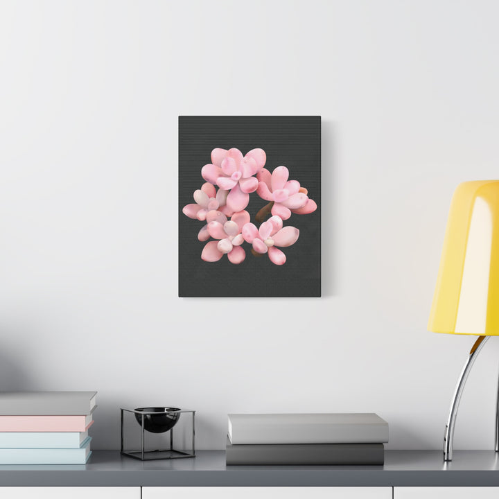 Pink Moonstone Canvas Print – Botanical Wall Art