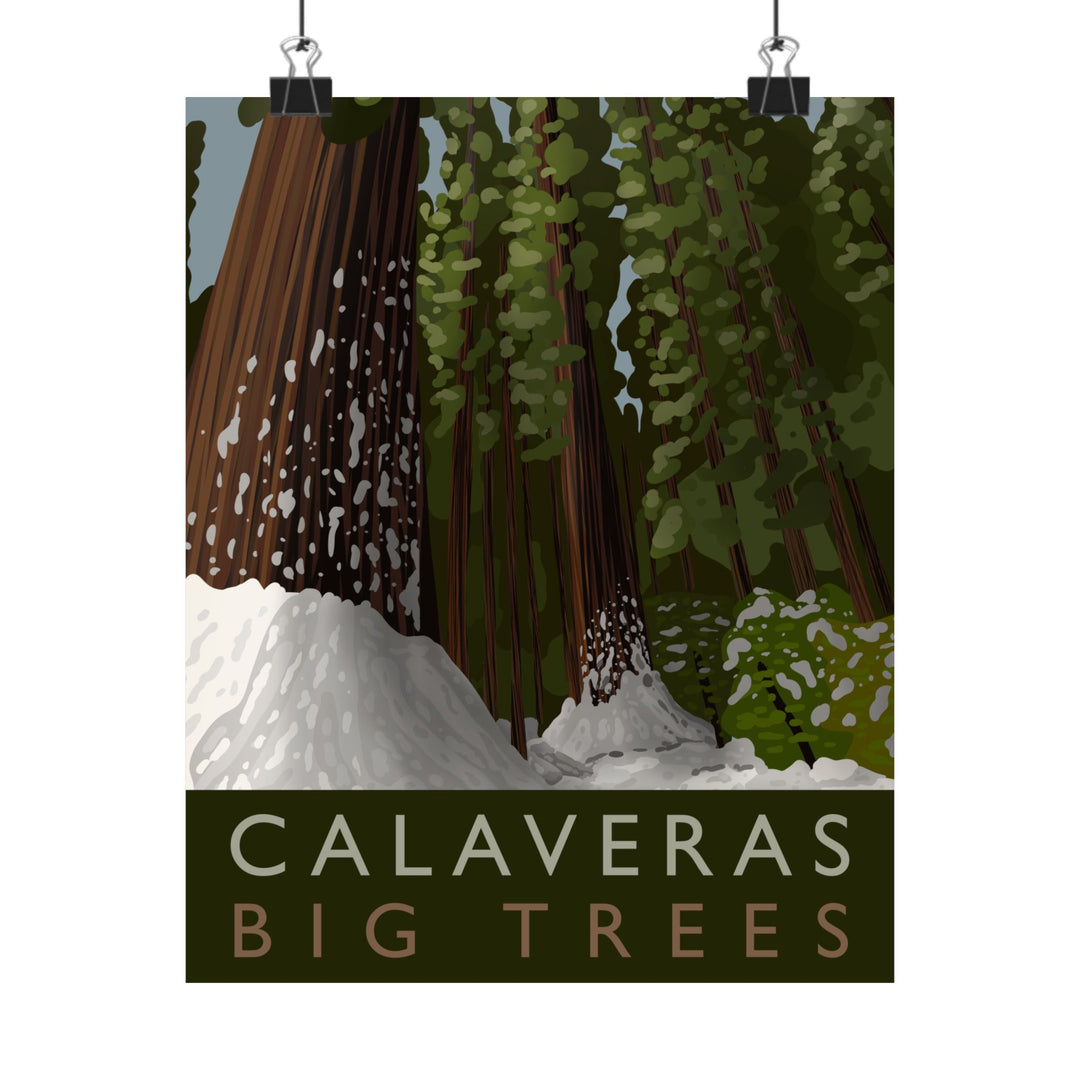 Calaveras Big Trees Print – Unframed Wall Art