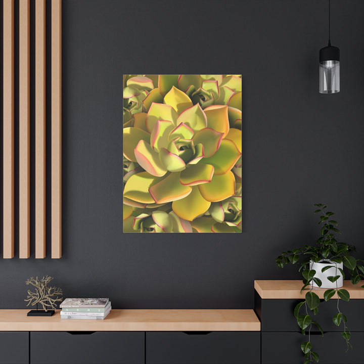 Succulent Canvas Art Vibrant Aeonium Print On Matte Canvas Wall Decor 12x18 Inches Indoor Home