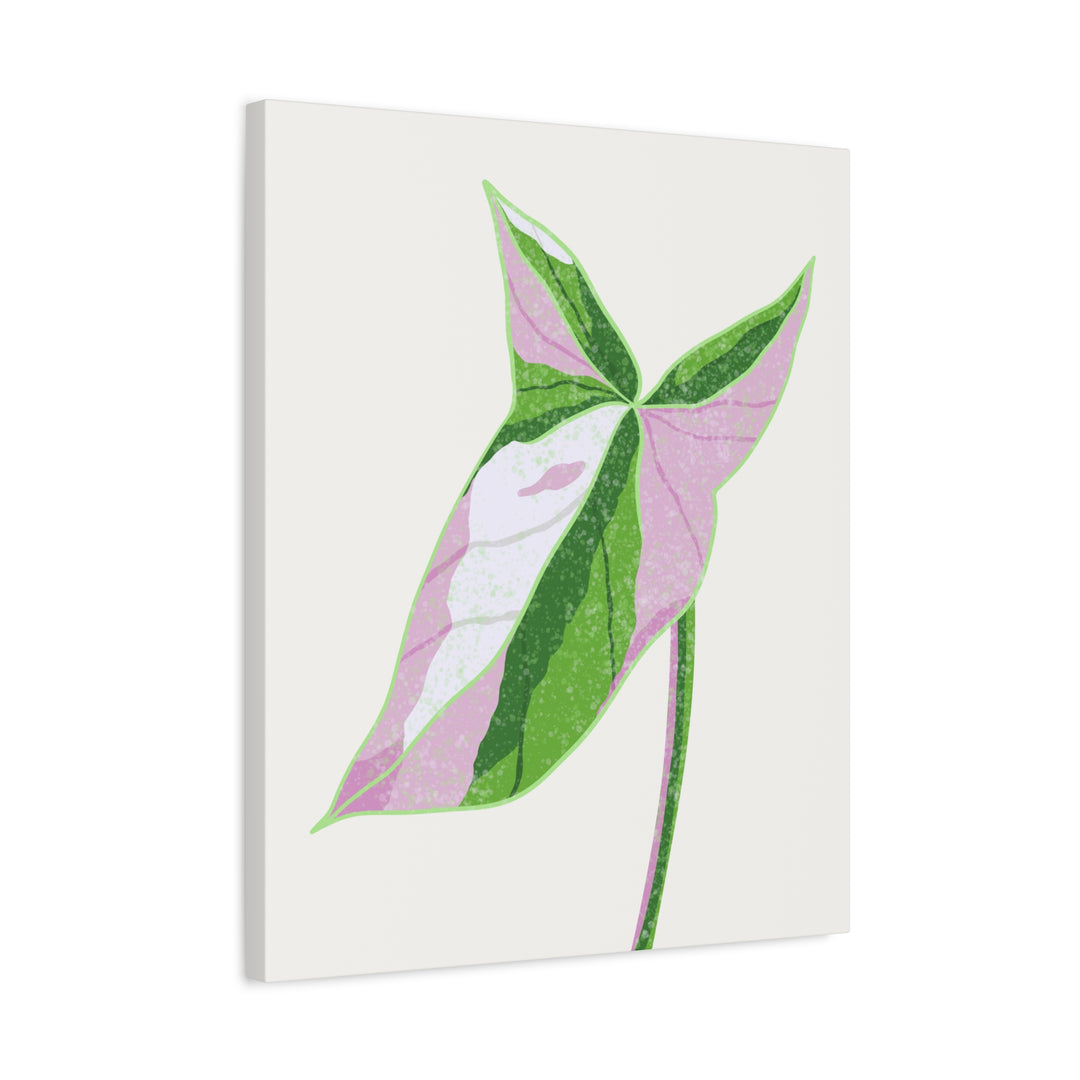 Syngonium Tricolor Canvas Print – Botanical Wall Art - The Potted Pixel
