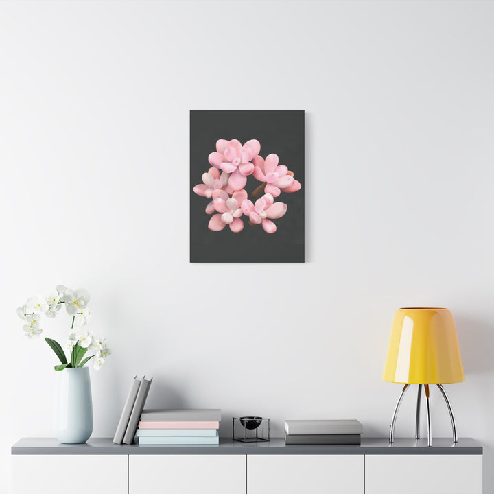 Pink Moonstone Canvas Print – Botanical Wall Art