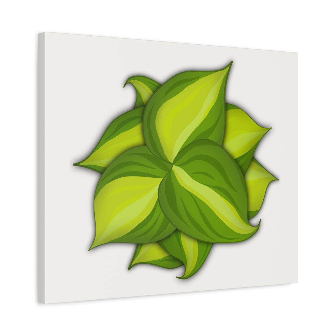 Philodendron Brasil Canvas Print Matte Stretched Canvas Indoor Plant Art For Modern Greenery Decor