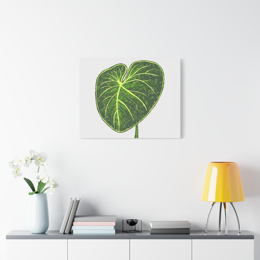 Philodendron Gloriosum Canvas Print Stretched Wall Art Botanical Leaf Print Matte Finish Gallery Wrapped Canvas